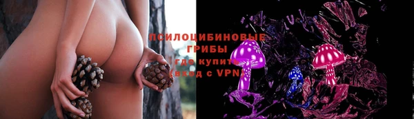 MDMA Богородицк